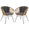 Esszimmerstuhl Gartenstuhl COSTA Im 2er Pack Mit Rattan -Möbelhaus 12665 0