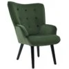 Polstersessel LIGERO Samtbezug In Grün -Möbelhaus 94005 0